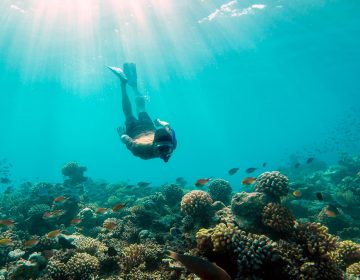 Top Maldives Resorts for Snorkeling and Diving