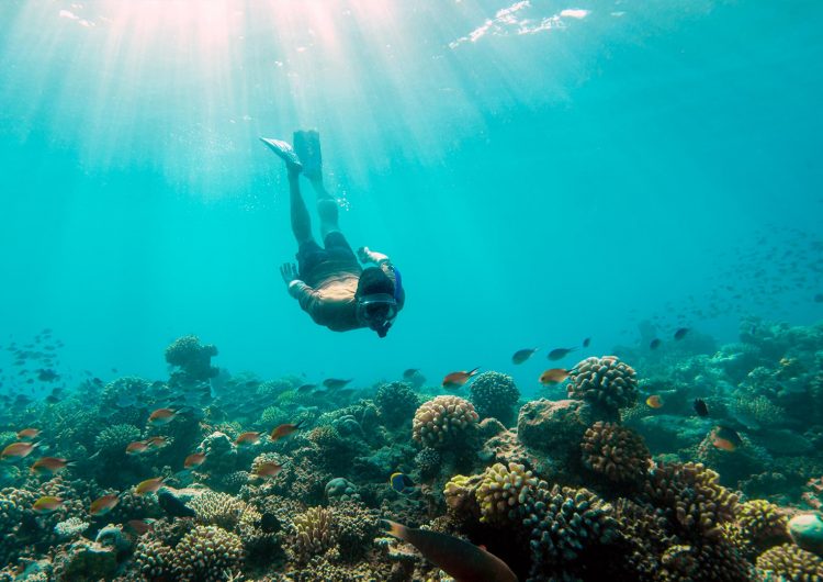 Top Maldives Resorts for Snorkeling and Diving