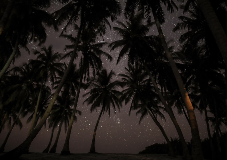 Eight Things to Do in the Maldives at Night