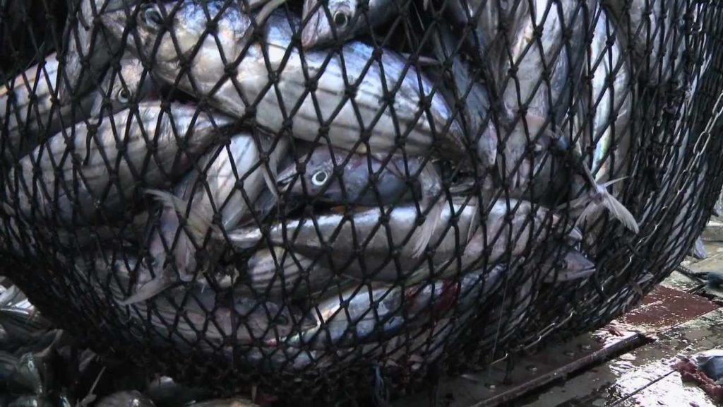 The Art of Coir Rope Making - The Maldives Expert