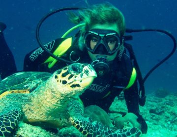 Diving in the Maldives – All You Need to Know