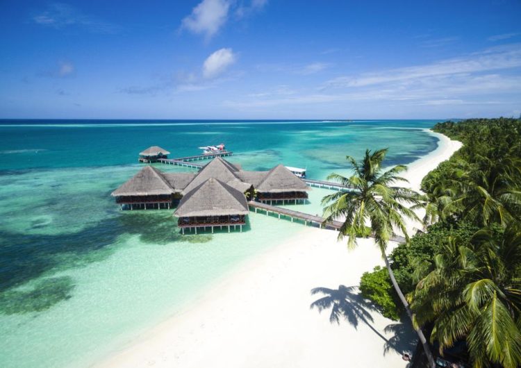 Things to Do in the Maldives in the Daytime