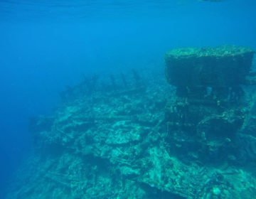 Diving in the North Malé Atoll – The Gaafaru Region