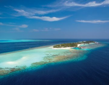 Diving in the North Malé Atoll – The Helengeli Region