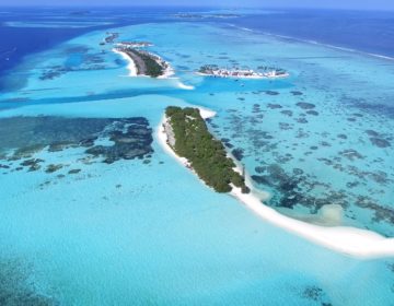 Diving South Malé Atoll – The Vaadhoo Region
