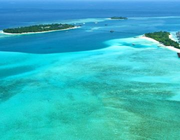 Diving in the South Ari Atoll – The Rangali Region