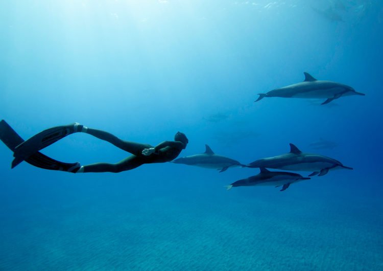 Freedivers of the Maldives