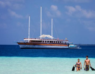 The Top Liveaboards in the Maldives