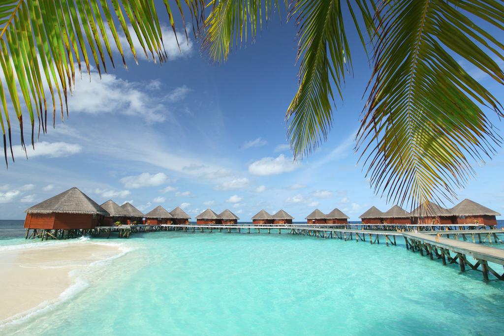 Mirihi Island Resort - The Maldives Expert