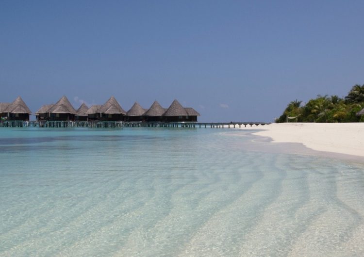 Coco Palm Dhuni Kolhu – The Maldives’ Top Eco-Resort