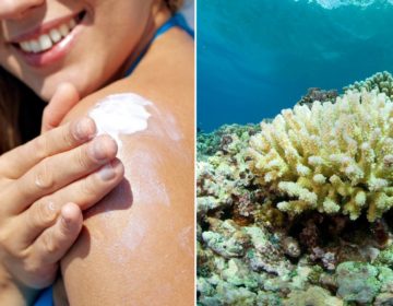 Is Your Sunscreen Killing the World’s Reefs?