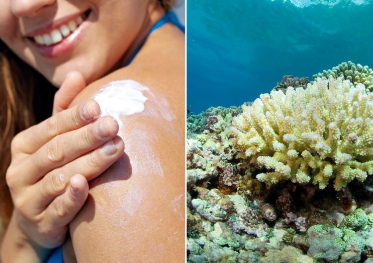 Is Your Sunscreen Killing the World’s Reefs?