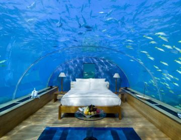 Aqua Marine Dreams – Sleeping with the Fishes