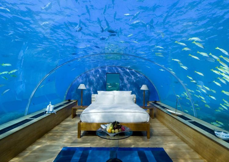 Aqua Marine Dreams – Sleeping with the Fishes