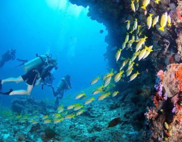 Underwater Snorkeling Experiences at Jumeirah Dhevanafushi Luxury Resort