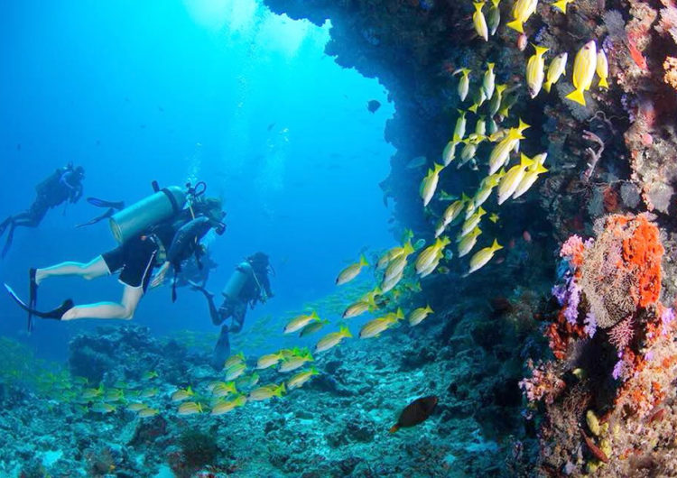Underwater Snorkeling Experiences at Jumeirah Dhevanafushi Luxury Resort